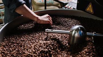 The Benefits of Organic Coffee: What Makes It Better for You and the Environment?