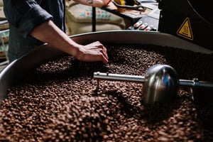 The Coffee Production Process