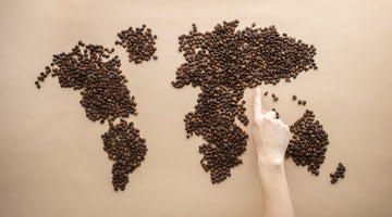 The Best Coffee Beans