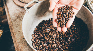 Your Intro to African Coffee