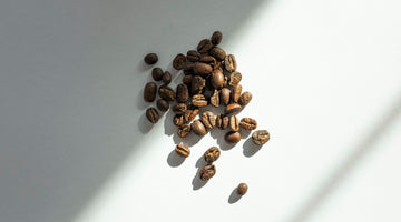 Do Coffee Beans Go Bad?